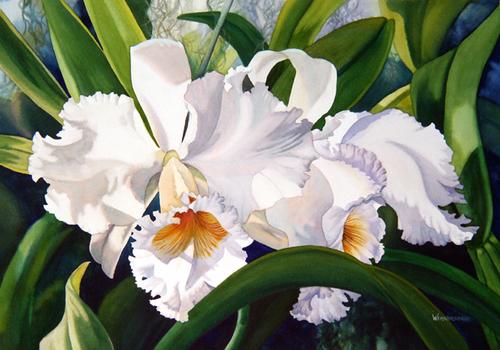 Nancy Wernersbach