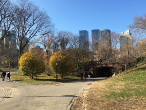 IMG_1016