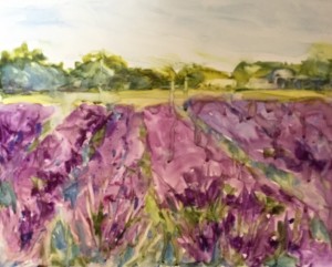 lavender