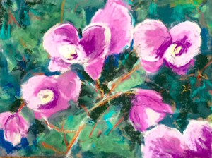 orchids